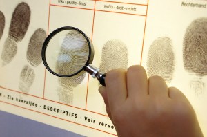 Kaum ein Mord bleibt spurenlos. Ein Vergleich von Fingerabdrücken führt vielleicht zum Täter! Foto: Königlich-Belgisches Institut für Naturwissenschaften