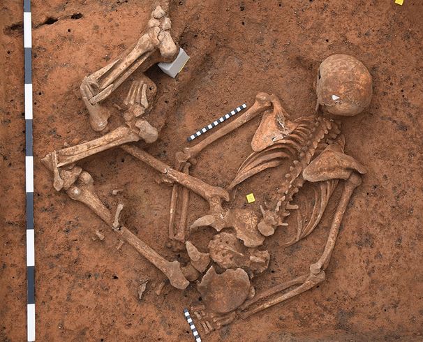 Ist das Deutschlands ältestes Mordopfer? Das fragt sich die "Bild"-Zeitung. Foto: Landesarchäologie Speyer 