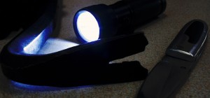 Die Einbrecher, die vor fünf Jahren in mehrere Schulen im Main-Tauber-Kreis eingestiegen waren, sind bis heut nicht gefasst. Auch im aktuellen Fall gibt es noch keine neuen Hinweise, Foto: Igelsböck Markus – .IM, www.pixelio.de