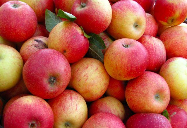 Äpfel sind unbestreitbar gesund; Foto: Karl-Heinz Laube / pixelio.de