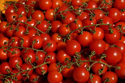 Ob Bio-Tomaten oder konventionelle Tomaten spielt für die Gesundheit nur eine untergeordnete Rolle. Petra Bork/pixelio.de