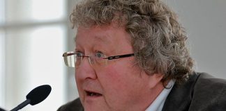 Patzelt: Beim Thema Populismus reden Politologen oft wie Fußballfans