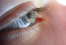 Ist Jamaika im Halbschlaf gescheitert? Das wirft die grundsätzliche Frage auf: Machen allzu lange Konferenzen Sinn? Was Forscher dazu sagen