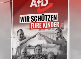 “Hierarchisch gesteuert”: Verbände wehren sich gegen AfD-Pläne mit der Schule