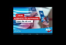 Die Jagd der AfD auf kritische Lehrer wird offenbar zur bundesweiten Kampagne – Partei droht mit weiterem Denunziations-Portal