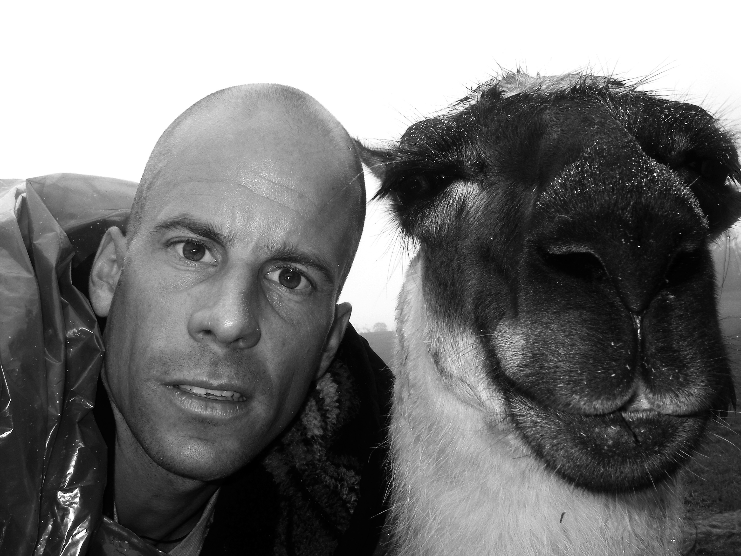 Autor Andi: Porträt mit einem Lama. (Foto: Privat)