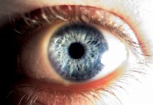 Lehrerverbände: Ohne Personal für Förderung nützt Schülerdaten-Sammeln wenig