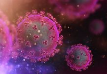 Innerhalb einer Woche: Die zwei bislang größten Corona-Ausbrüche an Schulen