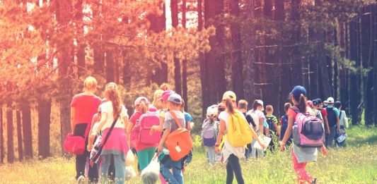 Jugendliche mit Rucksäcken gehen auf einen Waldrand zu.
