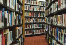 Rund 8.000 Bücher der Stuttgarter Uni-Bibliothek sind durch Ratten zerstört worden. Foto: StockSnap / pixabay (CC0)