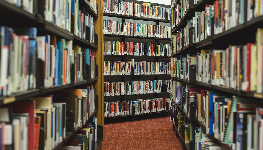 Rund 8.000 Bücher der Stuttgarter Uni-Bibliothek sind durch Ratten zerstört worden. Foto: StockSnap / pixabay (CC0)
