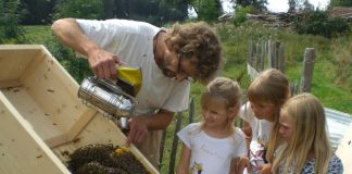 Machen den Sachunterricht lebendig: Bienen. Foto: Mellifera e. V.