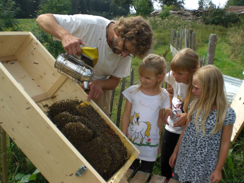 Machen den Sachunterricht lebendig: Bienen. Foto: Mellifera e. V.