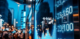 Wachsende Aktionärszahlen: Finanzbildung muss jetzt mitwachsen