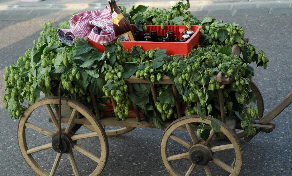 Auch Männern geht es sehr nahe, wenn der Nachwuchs flügge wird. Foto: RitaE/pixabay (CC0 Public Domain)