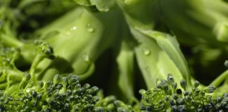 “Brokkoli und Blumenkohl kennen viele Kinder gar nicht”: Vegetarisches Schulessen hat es schwer