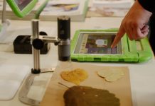 Kita-Fachkräfte stärken – verborgene Schätze heben