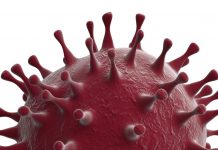 KMK zählt bundesweit 157 wegen Corona derzeit geschlossene Schulen