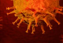 Kultusminister wollen Schulen nach Weihnachtsferien schnell wieder in Regelbetrieb nehmen – droht dann bald die dritte Welle?