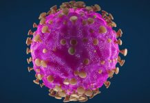 KMK-Erhebung: 3.000 Lehrer und 20.000 Schüler mit Corona infiziert – Leopoldina: Schüler wesentlicher Teil des Infektionsgeschehens