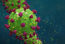 Sachsen setzt auf milden Corona-Verlauf in den Sommermonaten – und öffnet Kitas und Grundschulen jetzt schon weit für alle