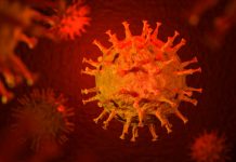 RKI-Daten: Weiterer mit dem Coronavirus infizierter Lehrer/Erzieher gestorben