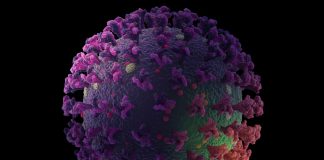 20 Prozent mehr Infizierte: Corona-Geschehen in den NRW-Kitas verschärft sich