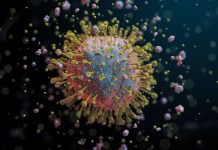 Sachsen: Jetzt schon ein Viertel der Schulen ganz oder teilweise geschlossen