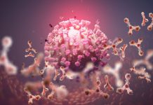 Epidemiologe Scholz: “Kitas und Schulen sind ein wesentlicher Faktor in der Pandemie – die Datenlage dafür ist überwältigend”