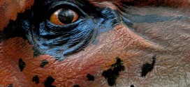 Anhand von Dinosaurier - hier ein Modell im Oxford University Museum of Natural History - lässt sich die Geschichte von der Entwicklung der Arten kindgerecht zeigen. Foto: allispossible.org.uk / flickr (CC BY 2.0)