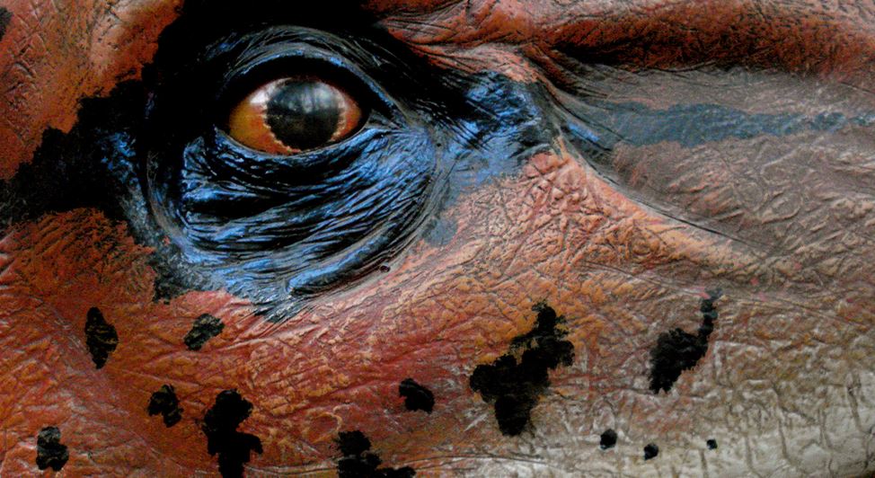 Anhand von Dinosaurier - hier ein Modell im Oxford University Museum of Natural History - lässt sich die Geschichte von der Entwicklung der Arten kindgerecht zeigen. Foto: allispossible.org.uk / flickr (CC BY 2.0)