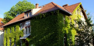 Lehrerverband fordert Korrektur der Mindestschülerzahlen an kleinen Schulen