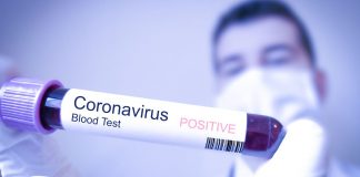 Charité-Studie: Kinder übertragen das Coronavirus wohl genauso wie Erwachsene