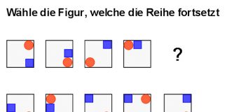 Heimlich für den Intelligenztest üben?