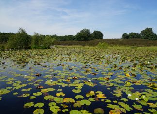 Der Naturpark Schwalm-Nette – ein außerschulischer Lernort mit vielfältigen Unterrichtsangeboten