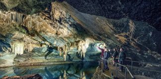 Tipp für die Klassenfahrt: Wilde Tiere, Höhlen und ganz viel Natur im Nachbarland Belgien