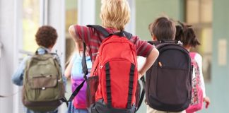Die Grundschule ist seit dem Absturz im IQB-Viertklässlertest unter Druck geraten. Foto: Shutterstock