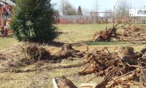 Vieles spricht nach Meinung des Verwaltungsgerichts Koblenz dafür, dass die Schulsitzgemeinde die Kosten von dem Schulträger bereits grundsätzlich nicht beanspruchen könne. Foto: Maseltov / Wikimedia Commons (CC-BY-SA 4.0,) 