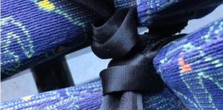 So waren die Gurte befestigt: Polizei zieht Busse vor Klassenfahrt aus dem Verkehr