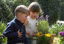 HCM Kinzel – die Natur (er)leben