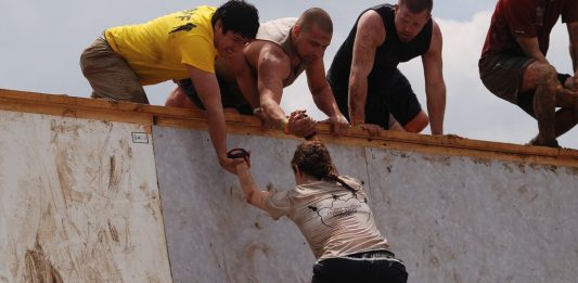 Altruistisches verhalten lässt sich gezielt fördern. Foto: madsmith33 / Pixabay (CC0 1.0)