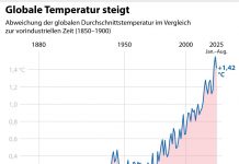 Fakten treffen KI: Warum geprüfte Quellen im Bildungs-KI-Zeitalter entscheidend sind