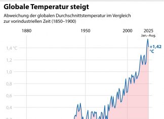 Fakten treffen KI: Warum geprüfte Quellen im Bildungs-KI-Zeitalter entscheidend sind