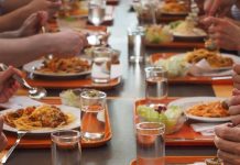 Viele Schulen sind mit der Gestaltung des Schulessens allein gelassen. Grundsätzlich herrscht starker Preisdruck. Foto: Hans / pixabay (CC0 Public Domain)