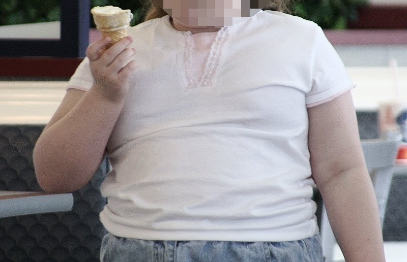 Auf rund 1,8 Billionen Euro schätzt Gesundheitsökonomin Diana Sonntag die Folgekosten kindlicher Adipositas. Foto: Robert Lawton / Wikimedia Commons (CC BY-SA 2.5)