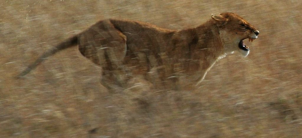 Eine mögliche Deeskalationsstrategie: „Kritik darf nicht wie ein Vorwurf klingen". Foto: norro / Wikimedia Commons (CC BY-SA 2.5) 