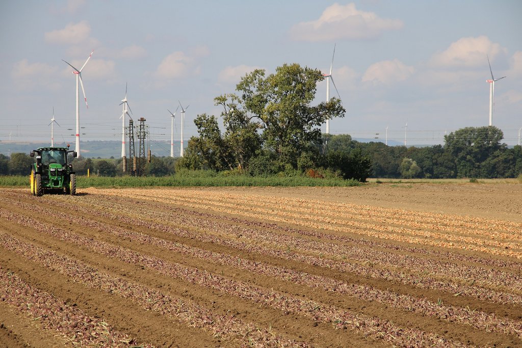 Bauernverbandspräsident Ruckwied wünscht sich, ein realistischeres Bild der Landwirtschaft in der Schule. Foto: DesignlandPfalz / pixabay (CC0 Creative Commons)