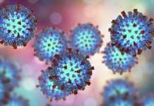Studie: Dynamik der Coronavirus-Verbreitung in Schulen überschätzt – Öffnungen daher richtig