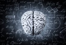 Gehirn vor einer Tafel mit Matheaufgaben schwebend