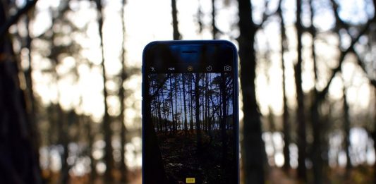 Digitale Medien können das Naturerleben nicht ersetzen, aber sinnvoll ergänzen. Foto: ledrogomalaurie / Pixabay (CC0 1.0)